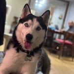 Willow “Never” Wong - @lordwillow_i - Instagram