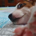 Willow Wong - @whippingwillowjrt - Instagram