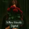rae_willowwoodsdigital - @rae_willowwoodsdigital - TikTok