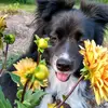 Willow - @willow_woods_21 - TikTok