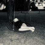 Willow Woods - Facebook
