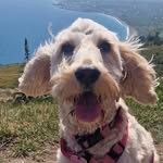 Willow Woods - @willowwoods2110 - Instagram