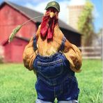 Willow Woods Farm - Facebook