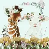🌸💕🌺 - @willowwoods..nursery - TikTok