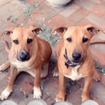 Willow & Wyatt - @willowandwyattwindress - Instagram