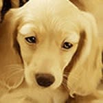 WillowWyatt396491D - @willow.wyatt396491d - Instagram