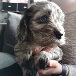 WillowWyatt - @willow_wyatt23 - Instagram