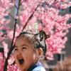 Willow Yang - @willowyang1992 - TikTok