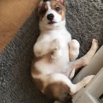 Willow Yates - @yates.willow - Instagram