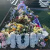 willow yates - @willow.yates6 - TikTok