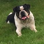 Willow Young - @vyoung1299 - Instagram