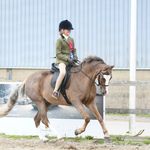 Willow Young - @willow_young_equestrian - Instagram