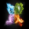 willow young - @willowyoung - TikTok