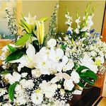 Lee - @willson_lee11 - Instagram