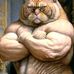 Willson Cheng Lee - Facebook