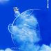 Willson Lee - Facebook