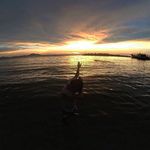 Willy Adam - @willyadam88 - Instagram
