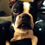 Willy Bennett - @willybennett - Instagram