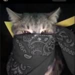 William McCray - @willybilly.56614 - Instagram