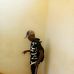 Willy Billy - Facebook