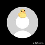 Willy Billy - @wlwh_willy - Instagram