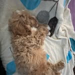 Willy Billy - @willy.billy08 - Instagram