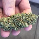 @willybobo23 - Instagram