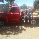 Willy Cano - @willy.cano.56 - Instagram