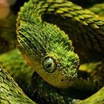 Willy Charles - @willy_charles - Instagram