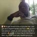 Willy Charles - Facebook