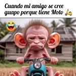 Willy chui - @chui_willy - Instagram