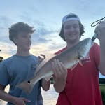 William Davis - @willy.davis4 - Instagram