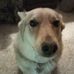 Willy Dean - Facebook