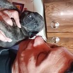 Willy Fox - @willyfox5 - Instagram