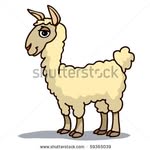 Willy Hall - @williamhall64wh - Instagram