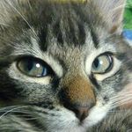 will Hartmann - @_will_hartmann - Instagram