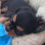 William Herold - @william_herold12 - Instagram
