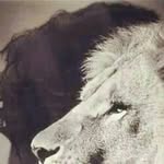 Willy Jordan - @willyjordan67 - Instagram