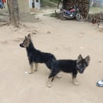Willy Kay Meti - @willykaymeti - Instagram