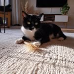 Willy Klootwijk-Kok - @willykk67 - Instagram