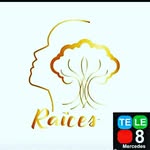 raices programa canal.8 - @willypaolao - Instagram
