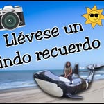 Willy La Orca - @willy_la_orca - Instagram
