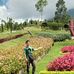Willy Lim - Facebook
