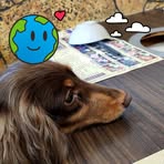 Willy Liu - Facebook