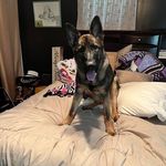 Willy Martin - @willy.kanters - Instagram