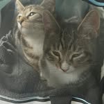 Willy and Winni Porter - @willyandwinni - Instagram