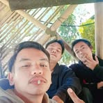 Willy Will - Facebook