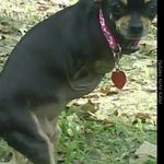 Wilma Applegate - @wilma.applegate.5 - Instagram