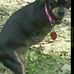 Wilma Applegate - Facebook