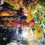 @wilmaarnoldc - Instagram
